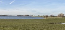 Rheinaue bei Voerde/Wesel