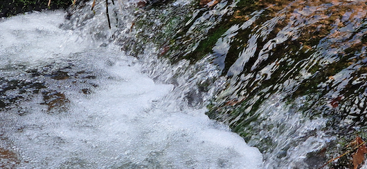 Wasser ist Leben und unsere Zukunft